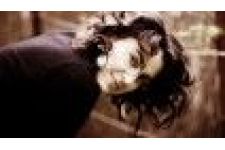 Foto von Sarah Kaiser Foto von Sarah Kaiser